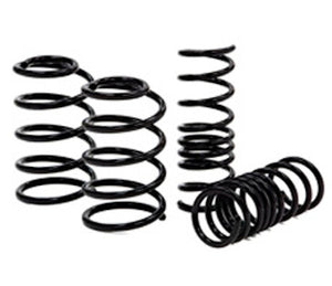 W463A G Wagen lowering springs